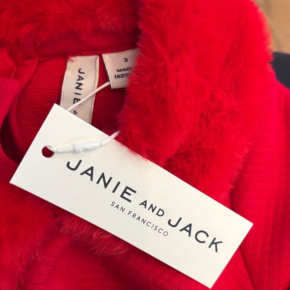 Janie and Jack Vibrant Red Dress with Faux Fur Collar - Picture 2 of 5